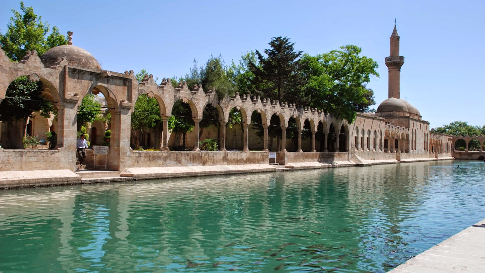 Şanlıurfa Evden Eve Nakliyat